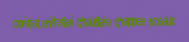 Contrat entretien chaudiere Chappee Sceaux
