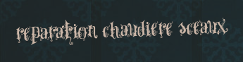 Reparation chaudiere Sceaux